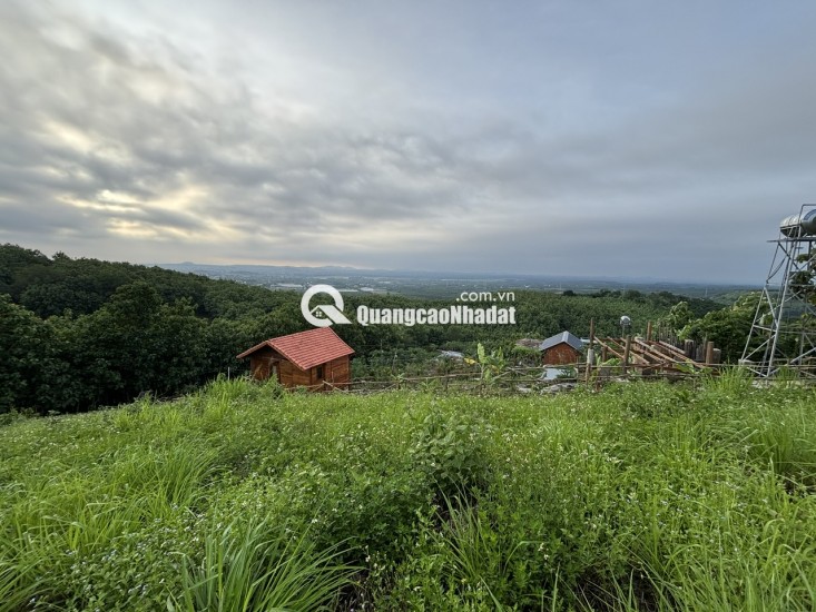 Đất Đẹp La Ngà – Sổ Riêng, View Chill, Đường Ô Tô – Chính Chủ Sang Nhượng